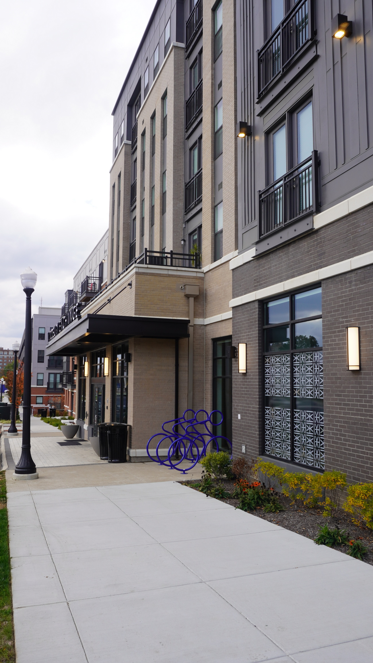 Modern building facade with large windows and a sidewalk lined with flowers.