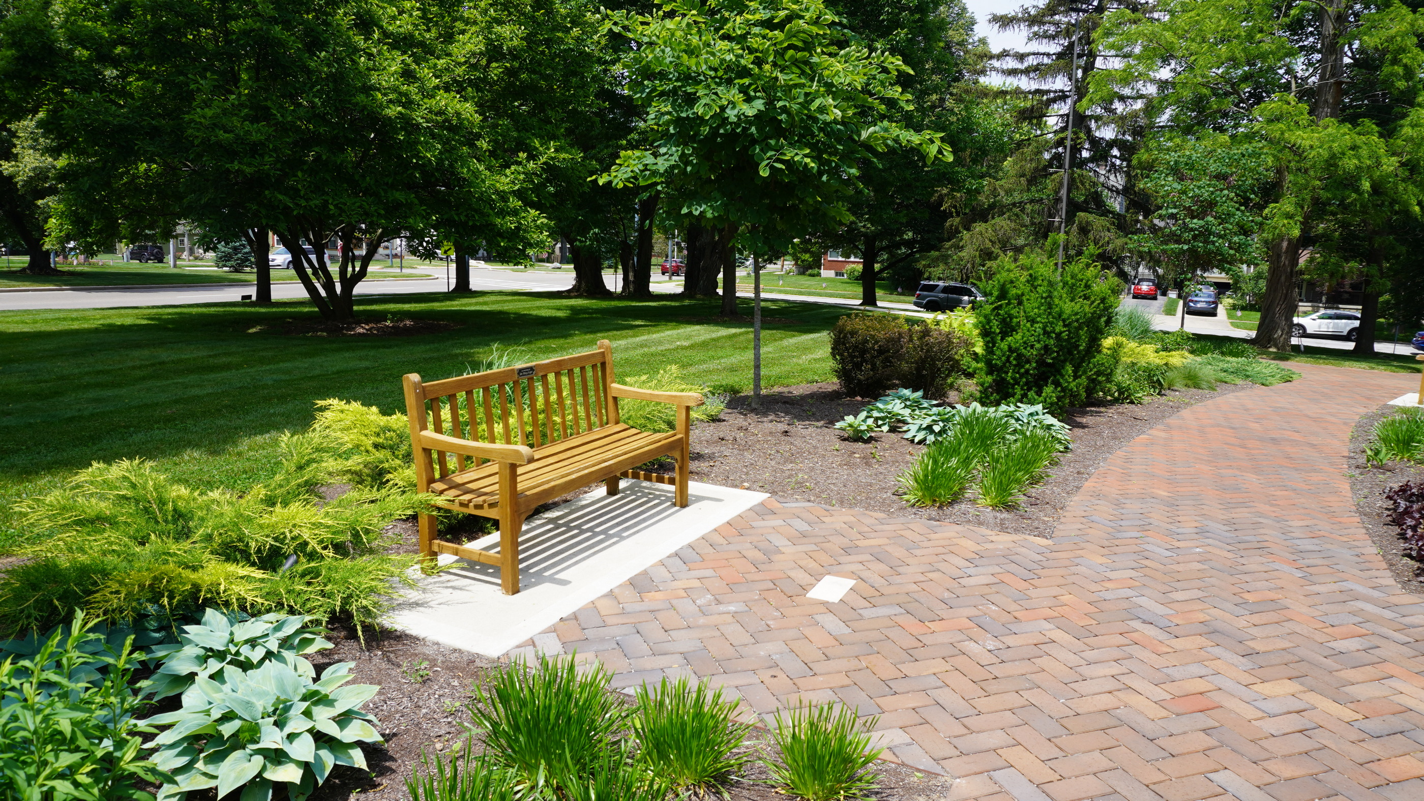 Pathway with a wooden bench and lush green plants.