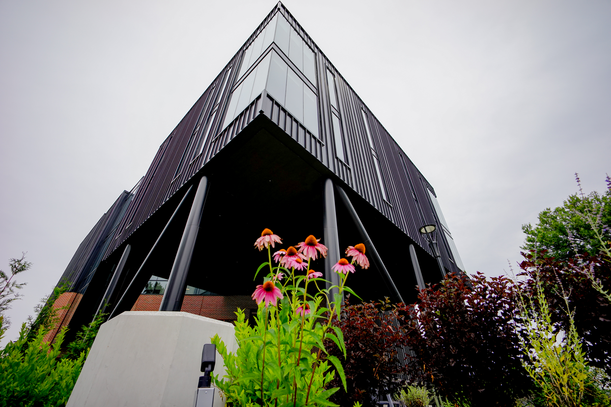 Modern building on stilts, with pink flowers in foreground.