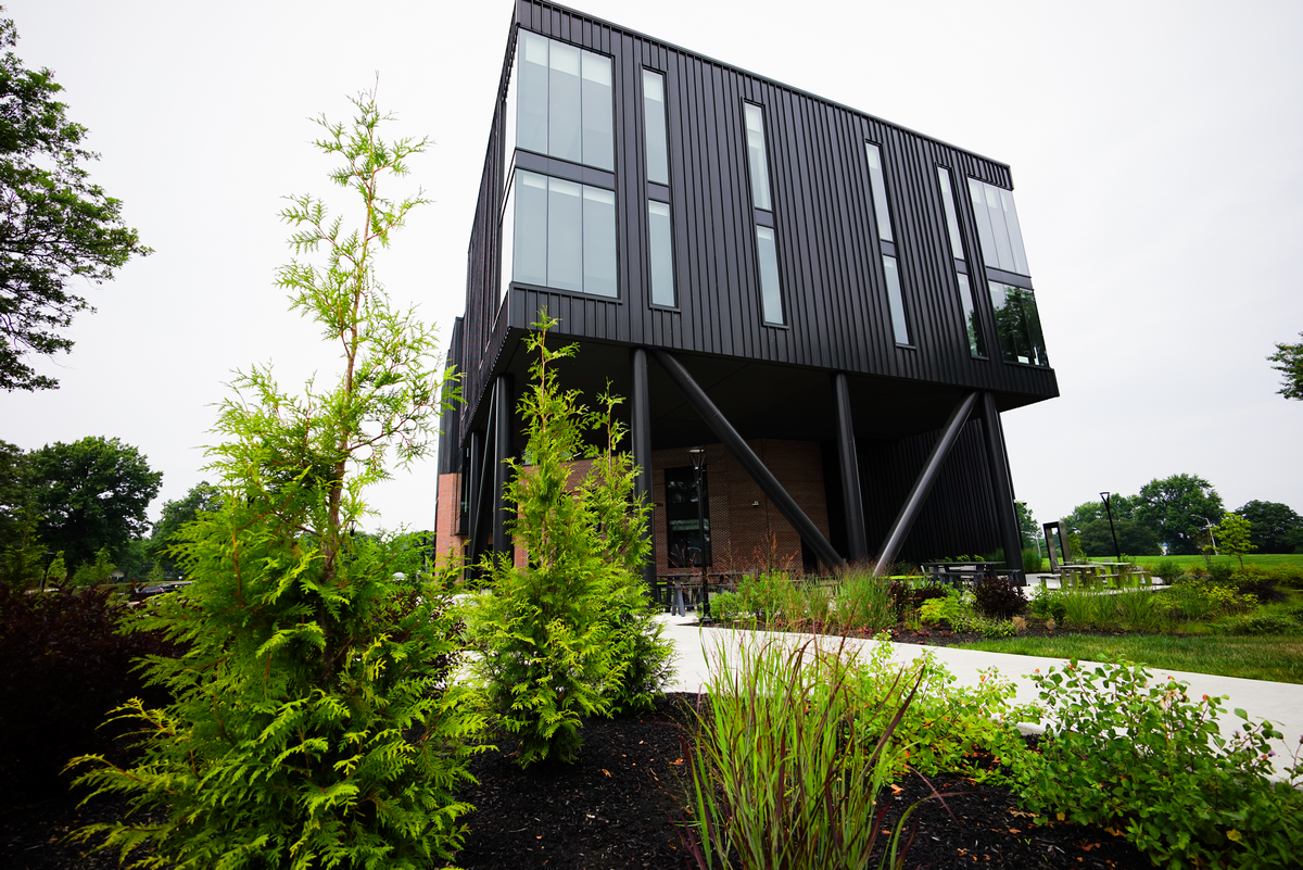Modern black building with large windows, surrounded by greenery and shrubs.