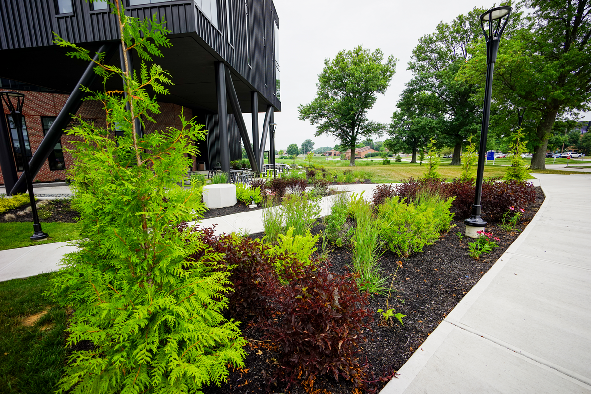 Modern building with landscaped garden and trees along a curved path.