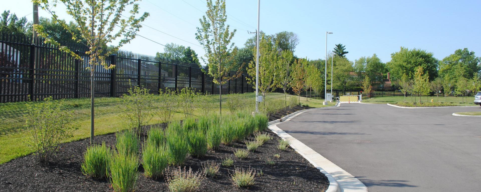 landscaping alongside parkinglot