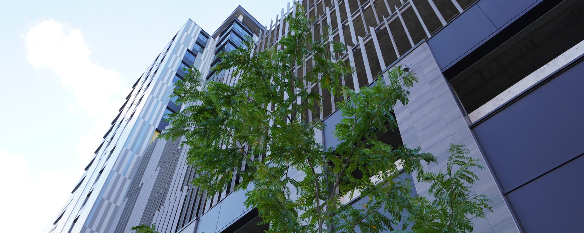 looking up to the top of a tall building