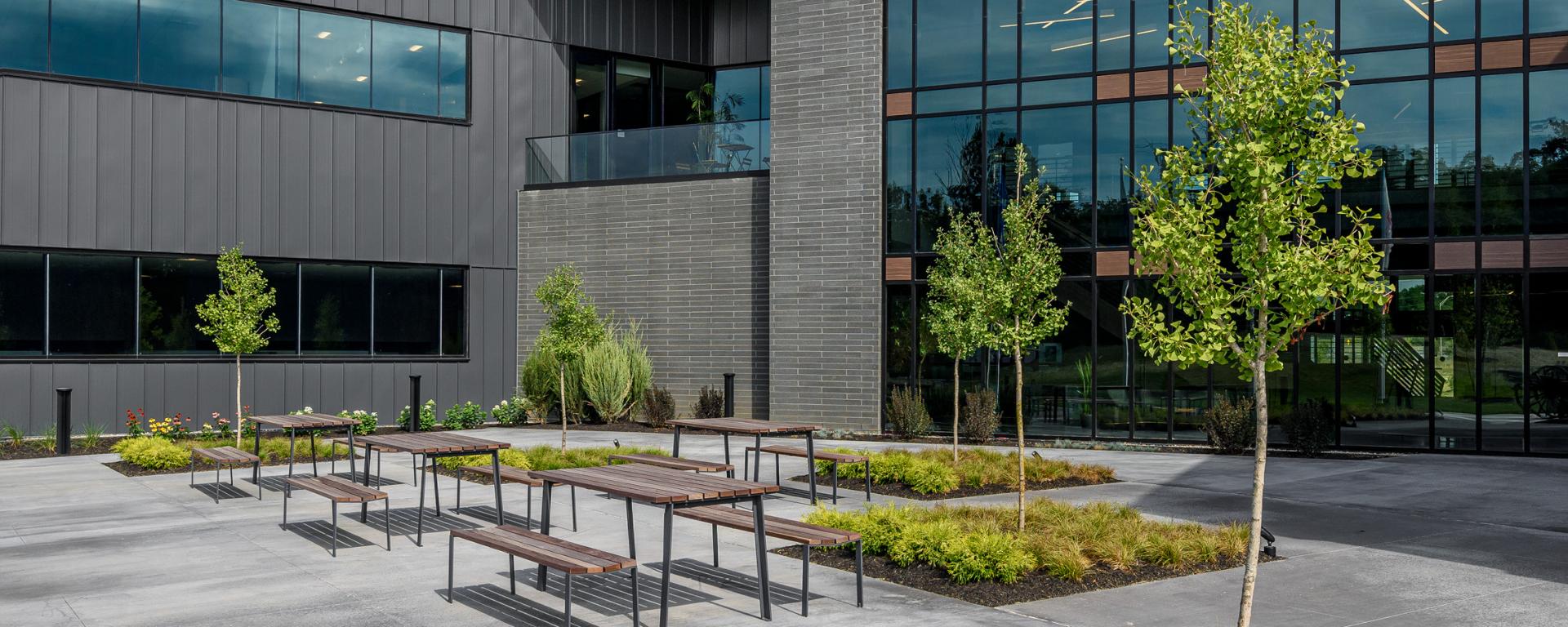 outdoor courtyard with trees