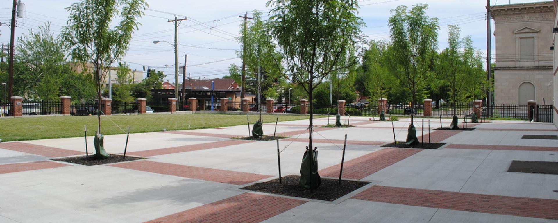 courtyard with planted trees