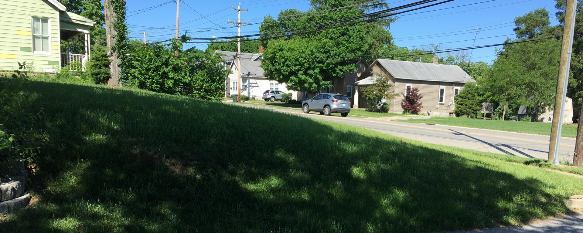 residential street with green grass