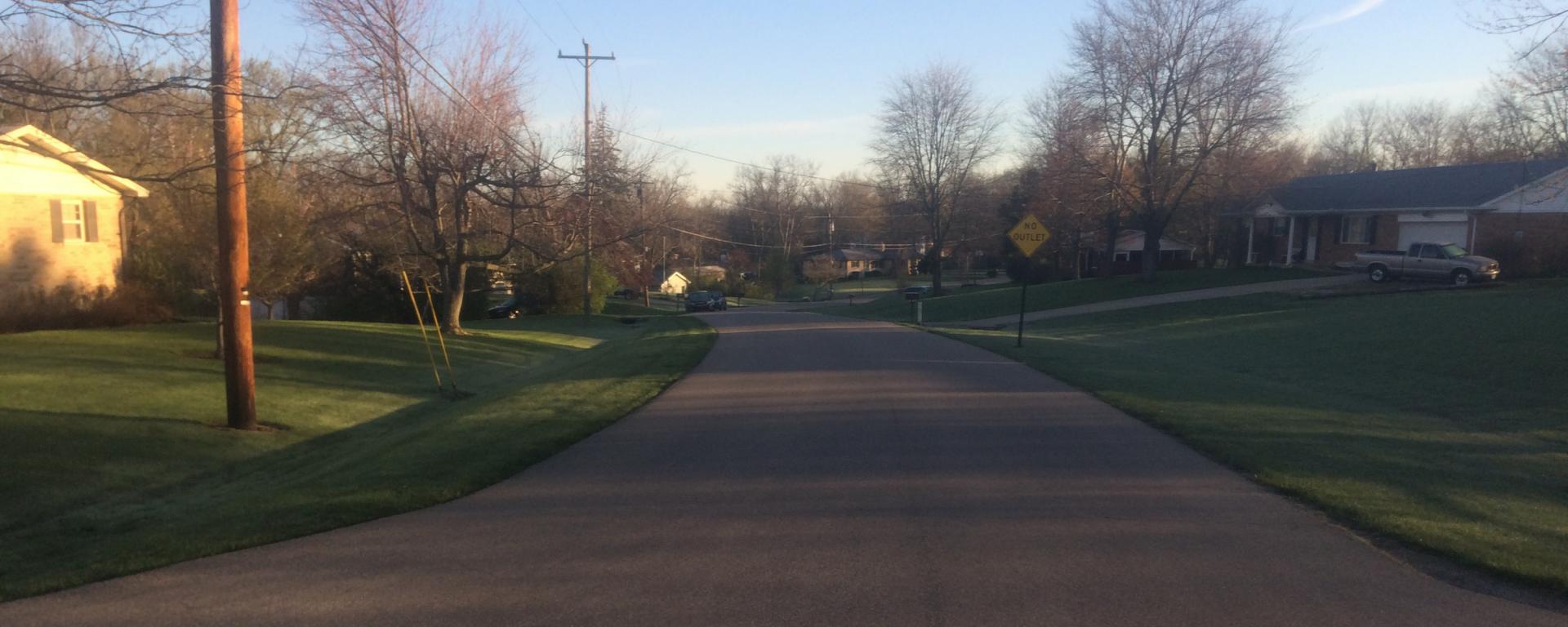 residential street with green grass