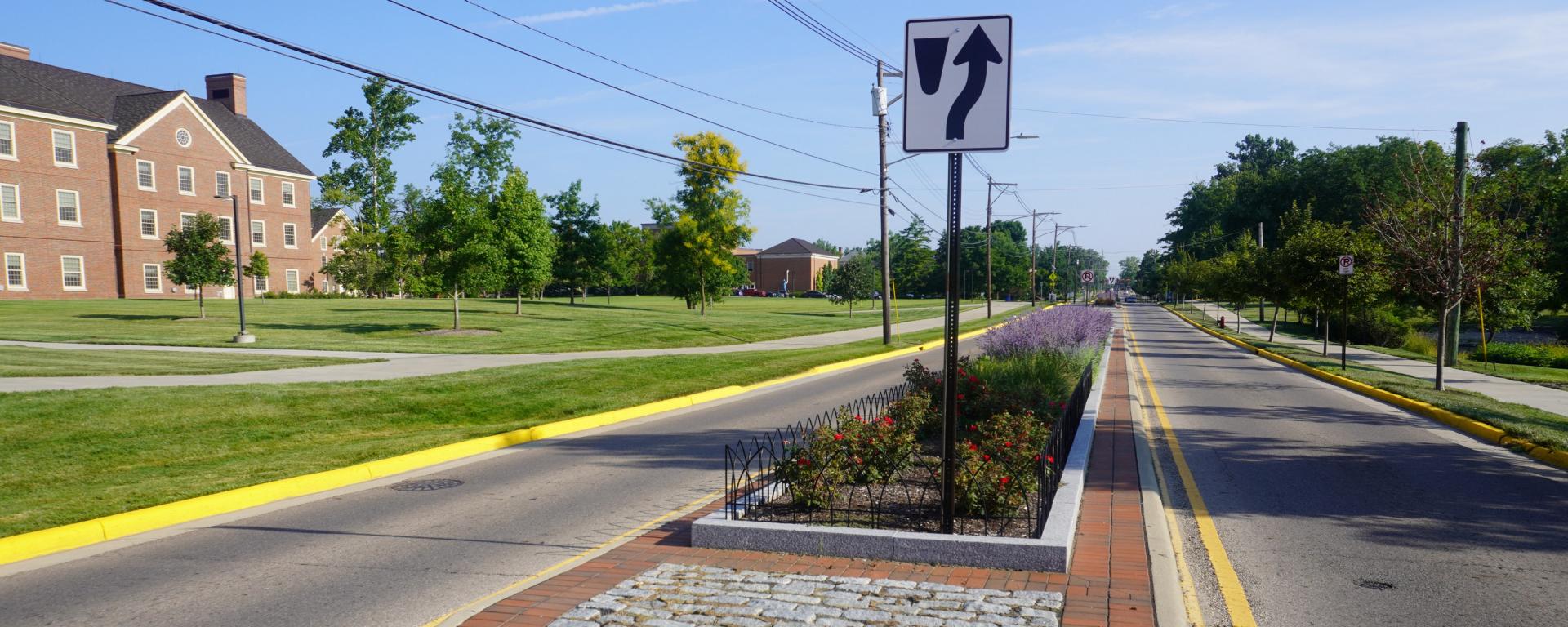 street median with purple flowers