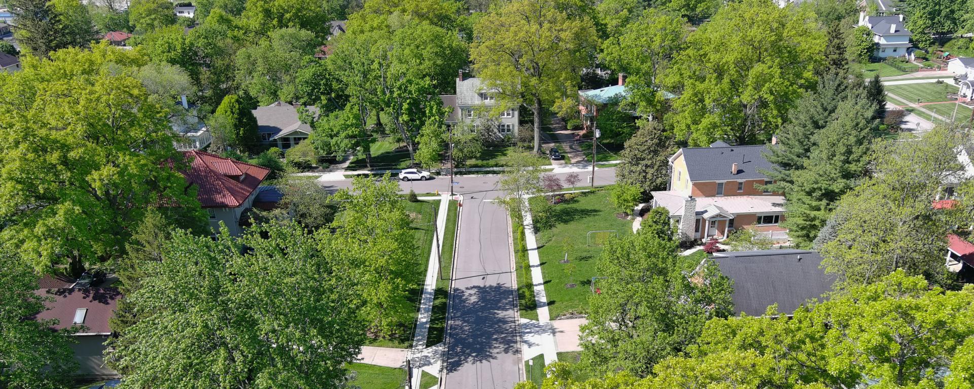 aerial photo of residential street and green trees