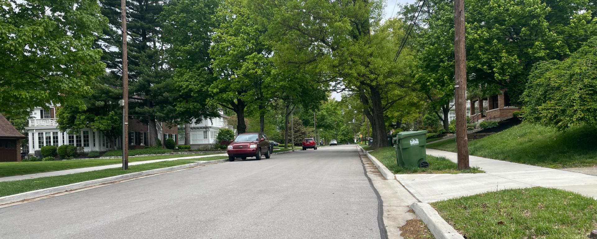 residential street with grass and sidewalks