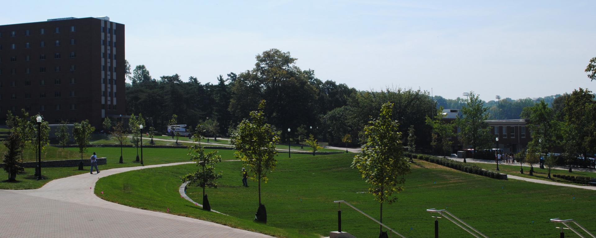 walkway and open lawn