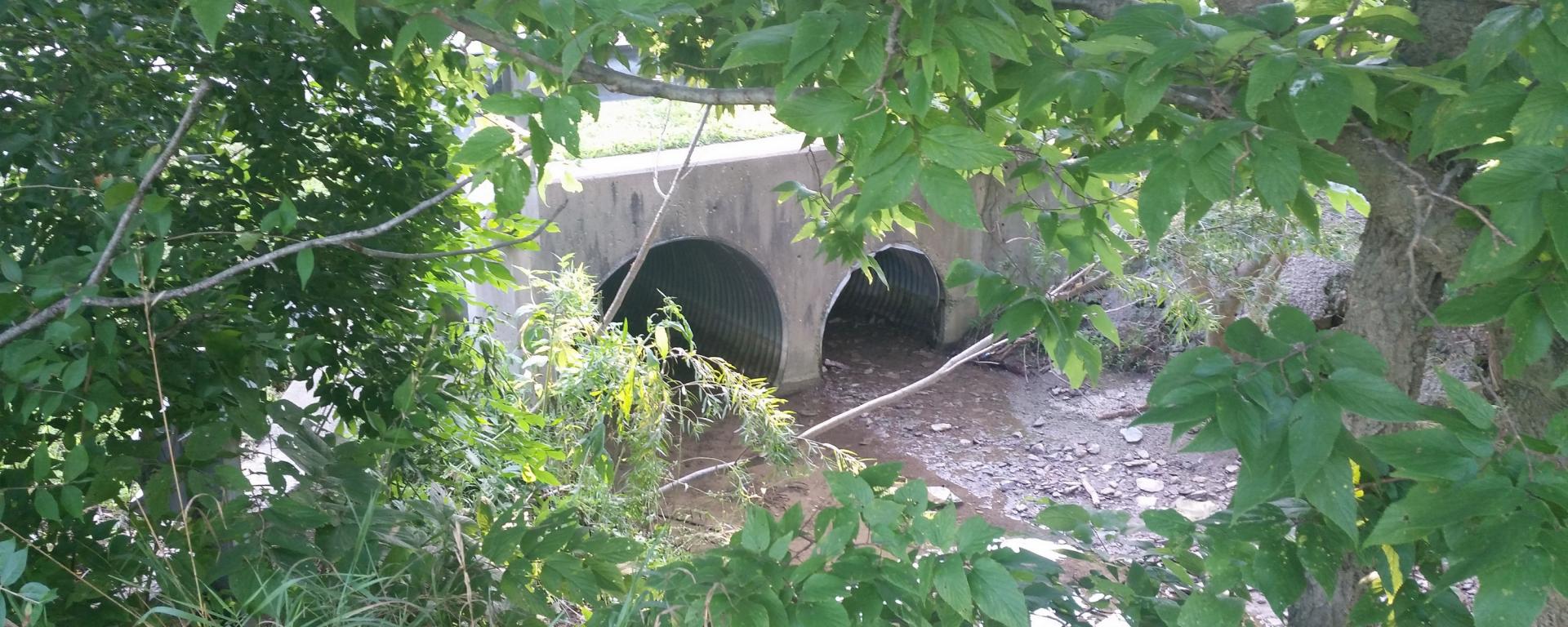 large storm sewer pipes in the woods