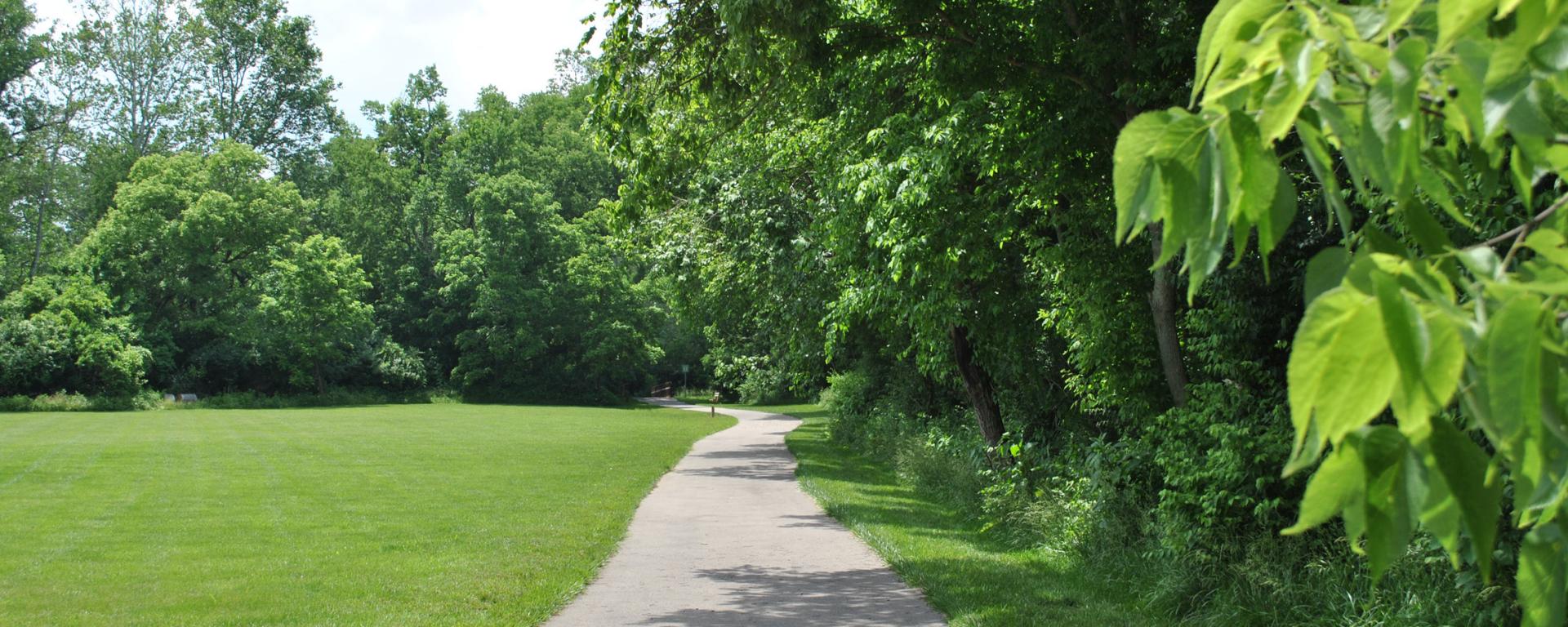 scenic park trail