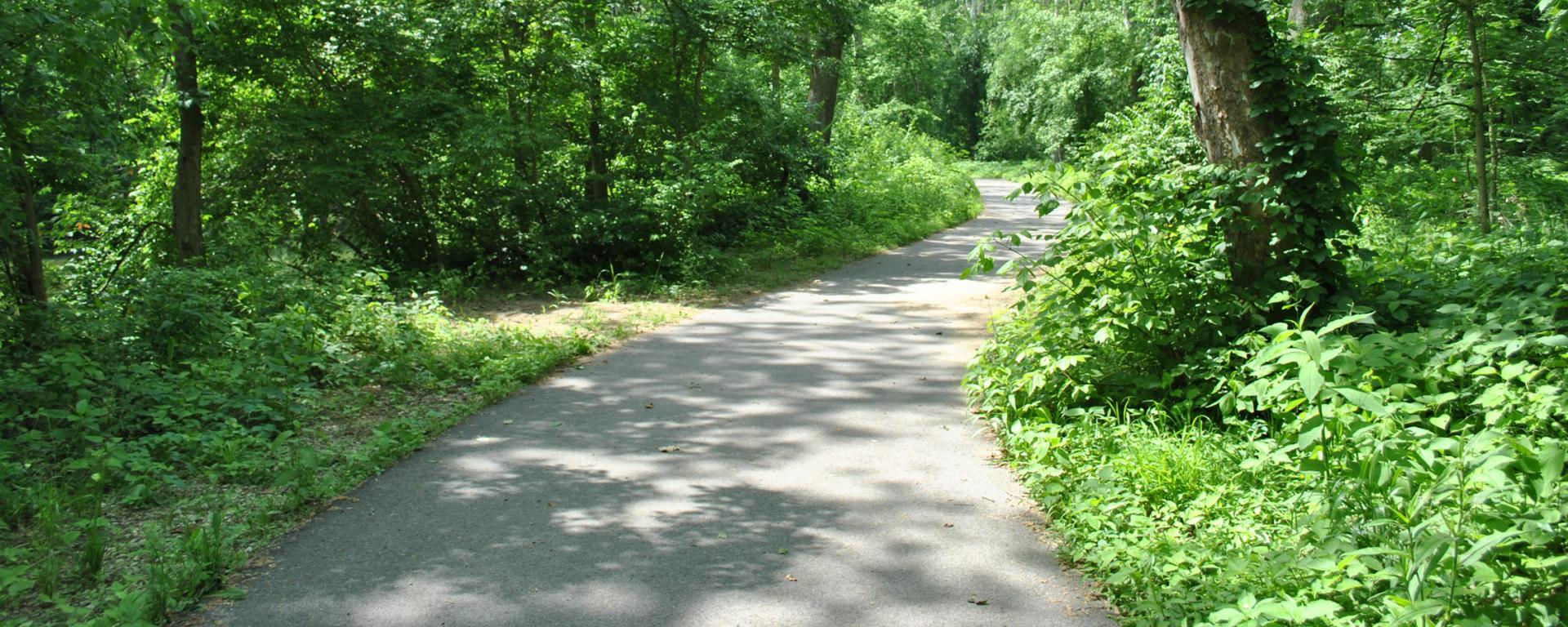 park trail in the woods