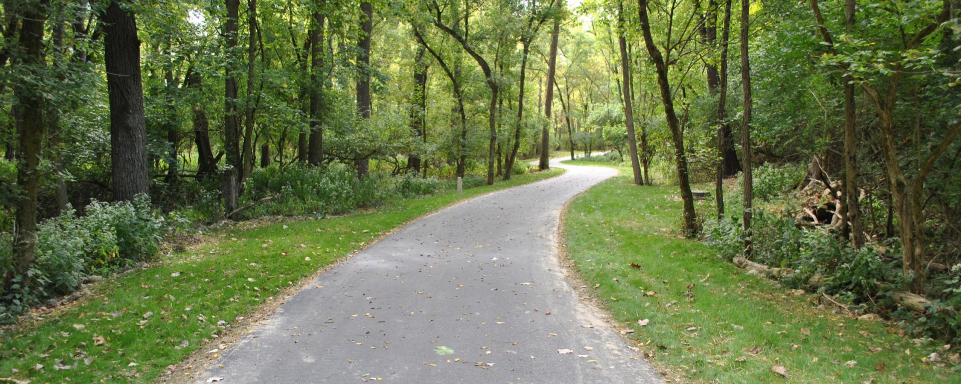 winding recreation trail in the woods