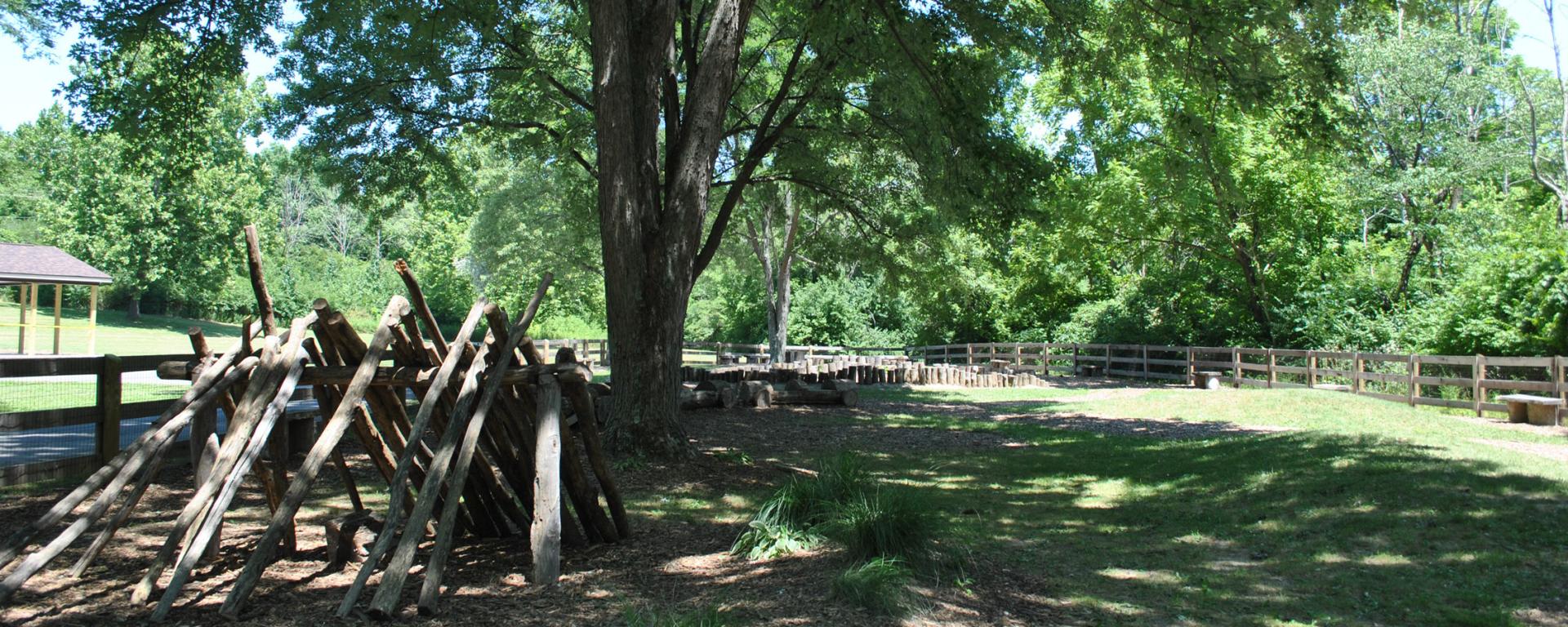 log structure in park