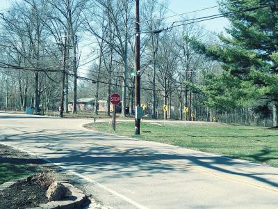 asphalt road with grass and houses