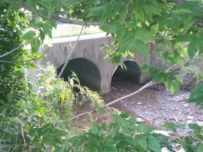 Cold Spring MS4 Program - Cold Spring, KY large storm sewer pipes in the woods