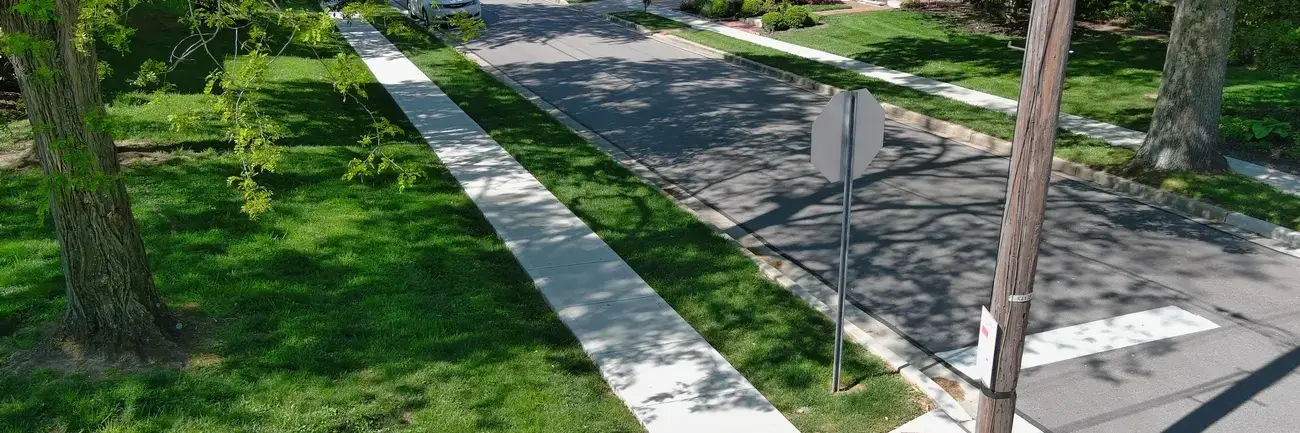 Residential street with trees and sidewalks under bright daylight.